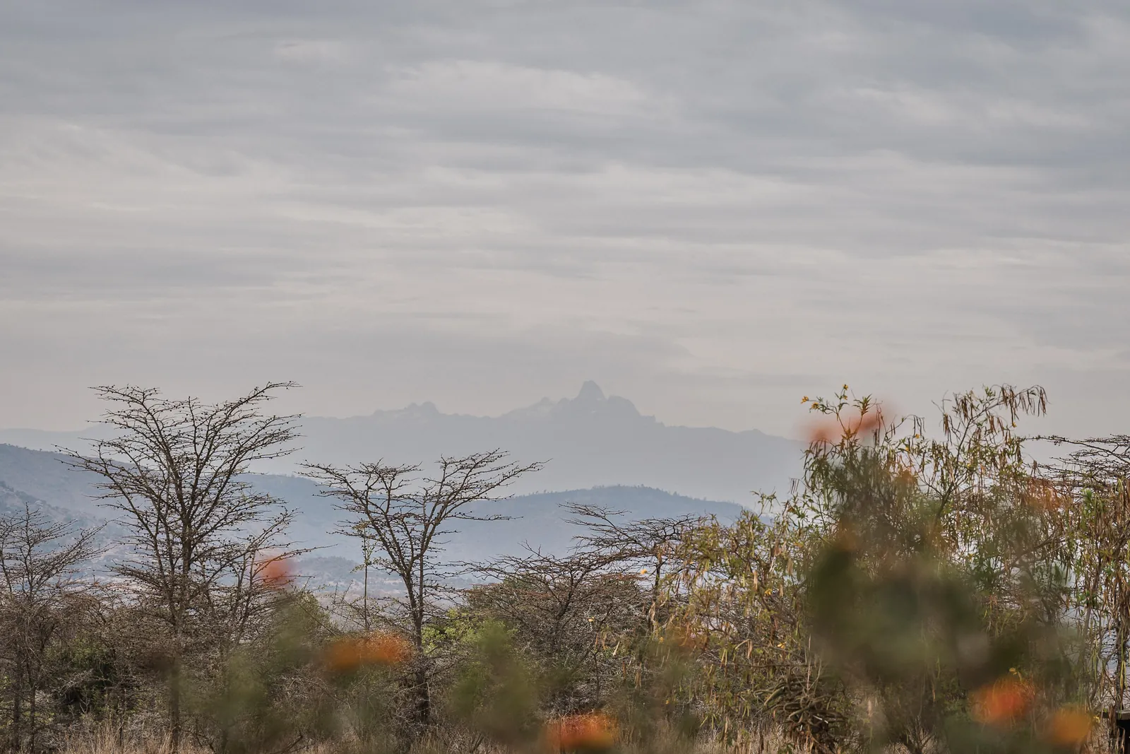 Mount Kenya rising above the morning haze, seen from Lolldaiga Nest