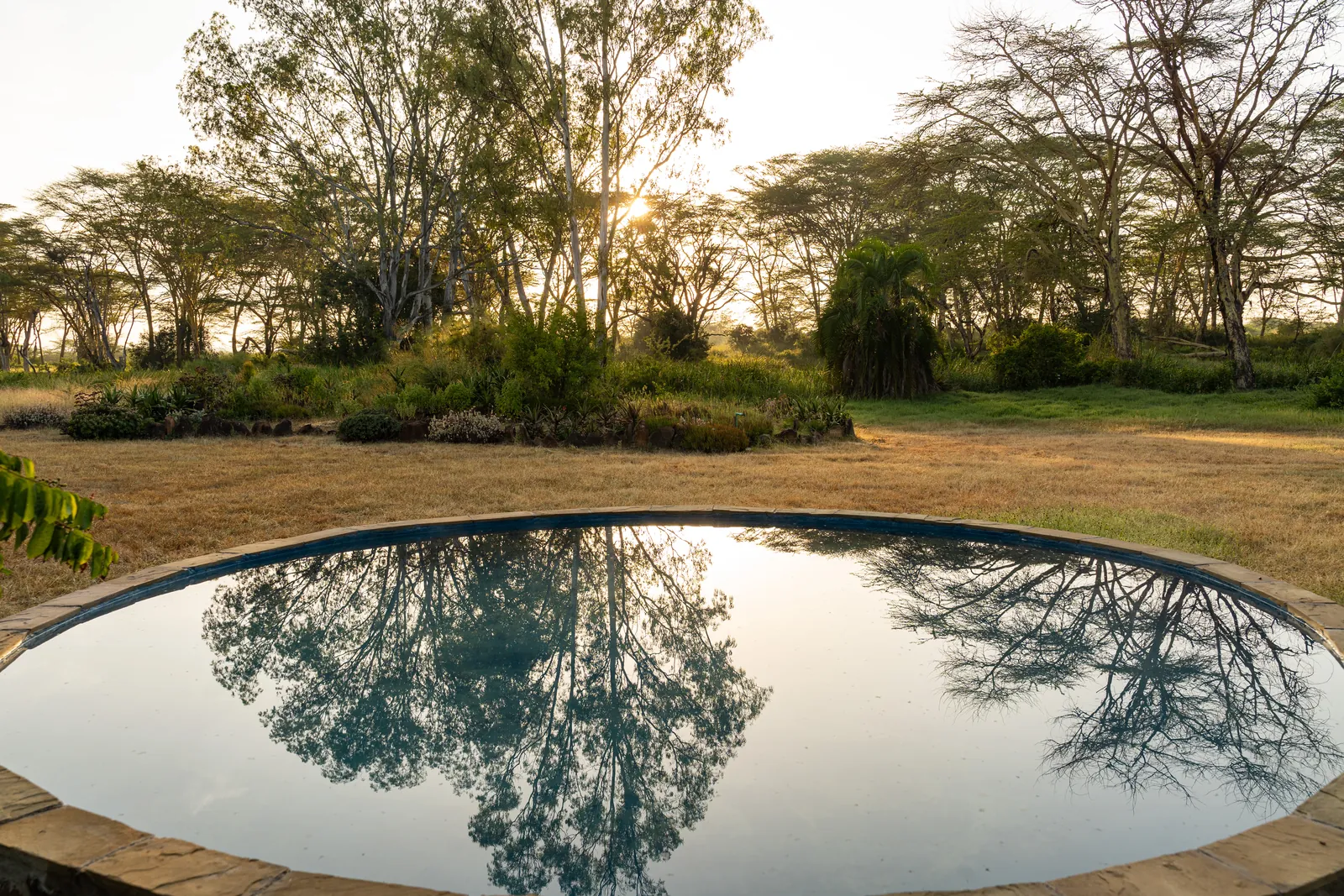 The round pool at Laikipia Nest holding the reflection of the acacias at sunset