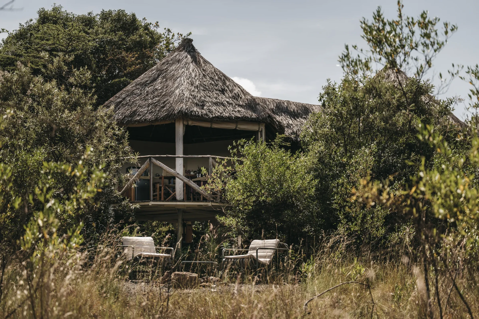 Bushtops Nest on its stilts under a thatched roof, with tall grass in the foreground