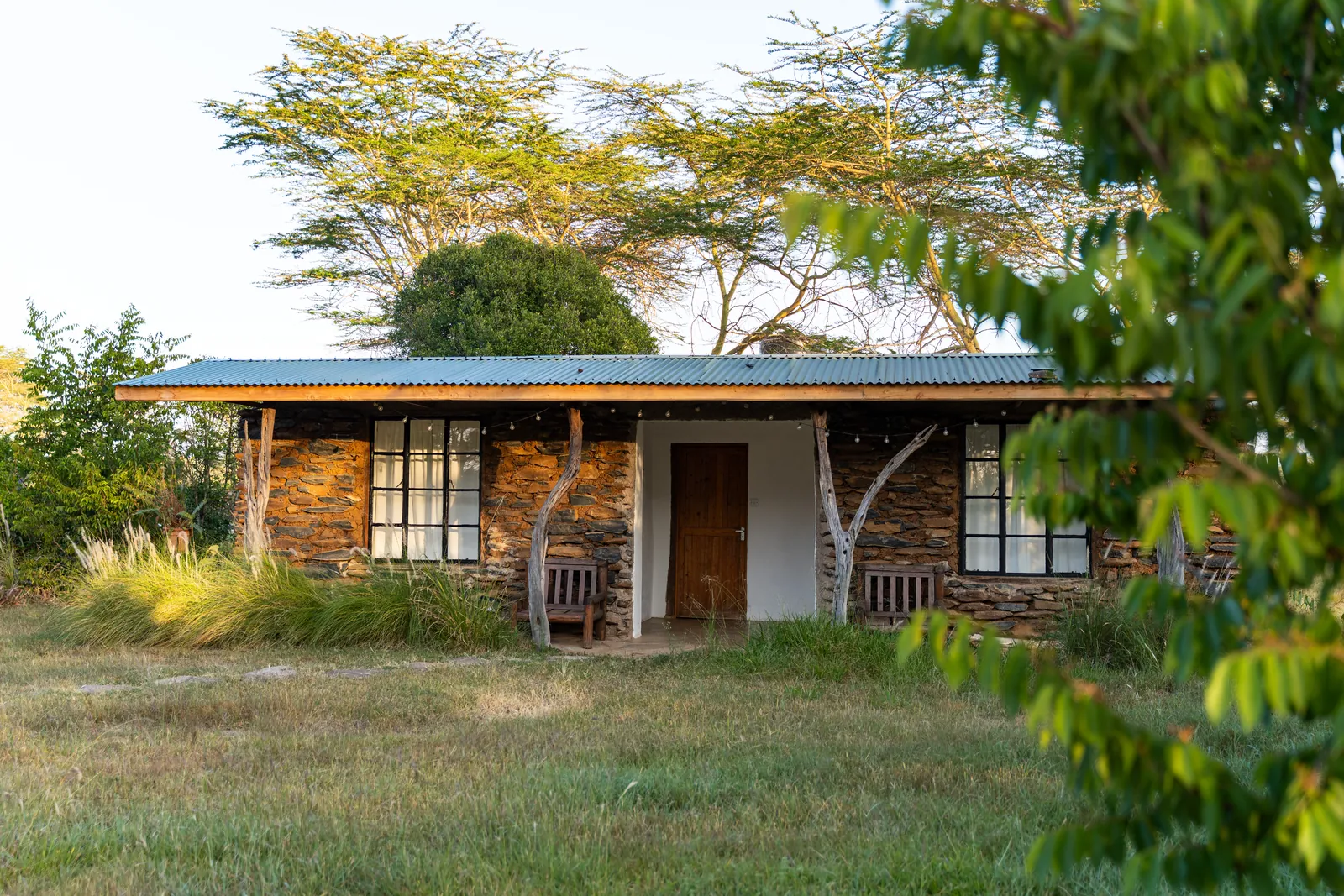 The stone cottage at Laikipia Nest beneath acacias, with benches either side of the door