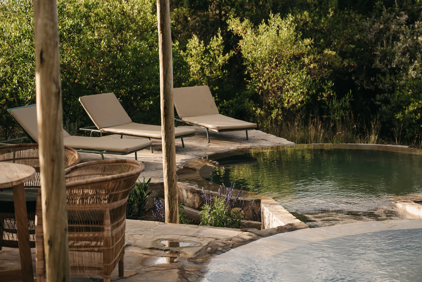 The saltwater pool and sunbeds at Kilima Gardens